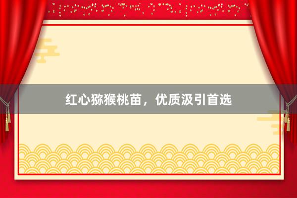 红心猕猴桃苗，优质汲引首选